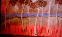 Birches With Flame Grass As Framed Poster