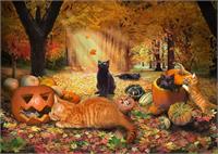 Cats In Autumn As Greeting Card