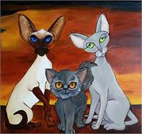 Chocolate Point Siamese, Caramel Oriental And Blue Long Haired Kitten As Greeting Card