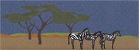 3 Zebras As Framed Poster