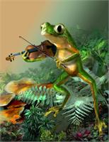 A Frog Fiddle Player As Framed Poster
