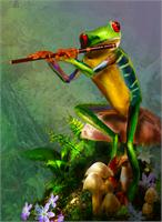 Flute Playing Frog As Framed Poster