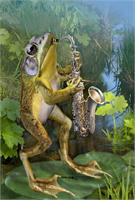 Frog Plying Saxophone As Framed Poster