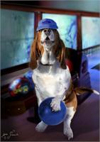 Hound Dog Bowling As Framed Poster