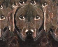 Chocolate Labrador Abstract As Framed Poster