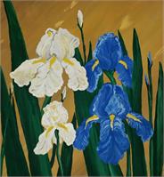 Irises As Framed Poster