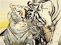 Affection Between Tigers As Framed Poster