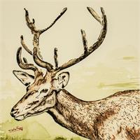 Deer As Framed Poster