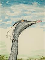 Heron Looking At The Sky As Framed Poster