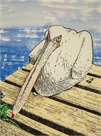 Pelican Resting As Framed Poster