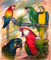 Parrots of Paradise Size 21“ X 25“  ( 1990' ) Original As Framed Poster