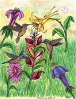 The Beautiful Hummingbird Paradise As Framed Poster