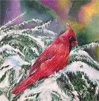 Winter Cardinal As Framed Poster