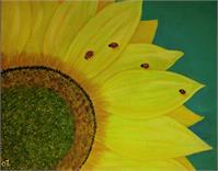 Ladybugs Sitting On Sunflower
