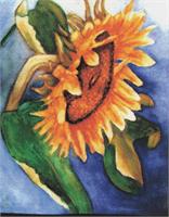 Sunflower As Framed Poster
