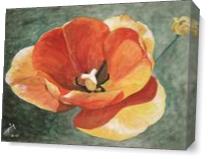 Orange Beauty Tulip As Canvas