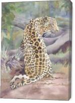 Big Cat Rescue Simba The Leopard - Gallery Wrap