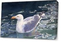 Seagull Floating As Canvas