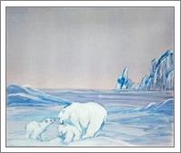 Polar Ice - No-Wrap