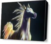 Horse Passionate - Gallery Wrap Plus