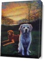 “Fenway And Snowy' - Gallery Wrap Plus