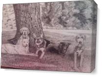 5 Dogs Under A Tree As Canvas