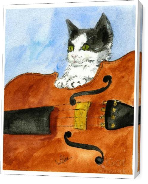 Kitten On Violin
