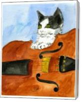 Kitten On Violin - Gallery Wrap