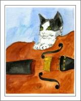 Kitten On Violin - No-Wrap