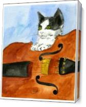 Kitten On Violin - Gallery Wrap Plus