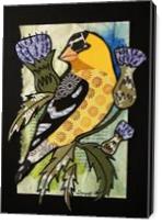 American Goldfinch - Gallery Wrap