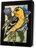 American Goldfinch - Gallery Wrap Plus