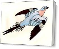Passenger Pigeon As Canvas