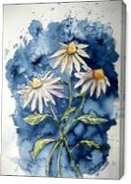 Daisies Flower Art Print - Gallery Wrap