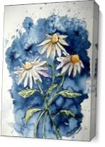 Daisies Flower Art Print As Canvas