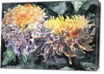 Chrysanthemum Flower Art Print - Gallery Wrap