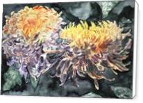 Chrysanthemum Flower Art Print - Standard Wrap