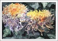 Chrysanthemum Flower Art Print - No-Wrap