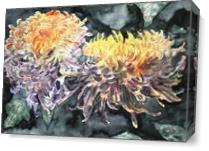 Chrysanthemum Flower Art Print As Canvas