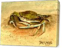 Crab Painting Square Art Print - Gallery Wrap