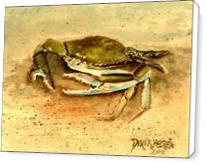 Crab Painting Square Art Print - Standard Wrap