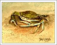 Crab Painting Square Art Print - No-Wrap