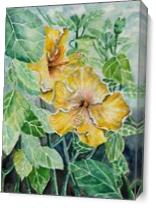 Hibiscus Flowers Tropical Exotic Art As Canvas