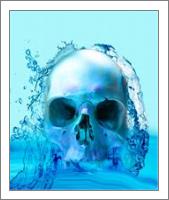 Skull In Water - No-Wrap