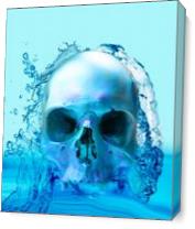 Skull In Water As Canvas