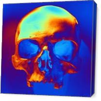 Skull In Blue And Gold As Canvas