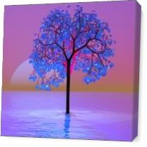 Tree Sunset - Gallery Wrap Plus