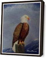 Eagle As Canvas
