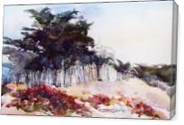 Pajaro Dunes Cypress - Gallery Wrap