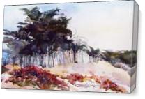 Pajaro Dunes Cypress - Gallery Wrap Plus
